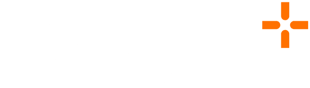 Gestor+
